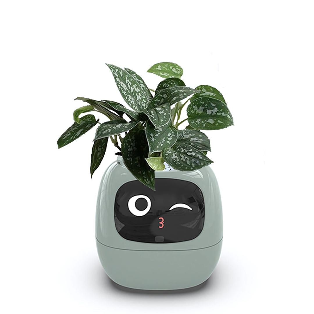 AI-Powered Plant Pot: Ivy The PlantiPet